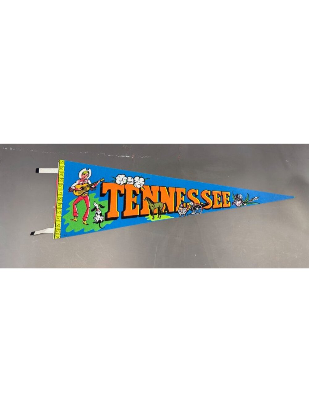 Vintage Tennessee State pennant